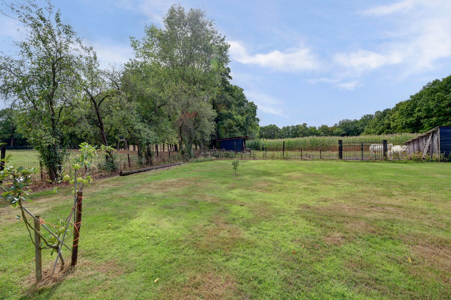 Foto 59 van van Ophovenlaan 61