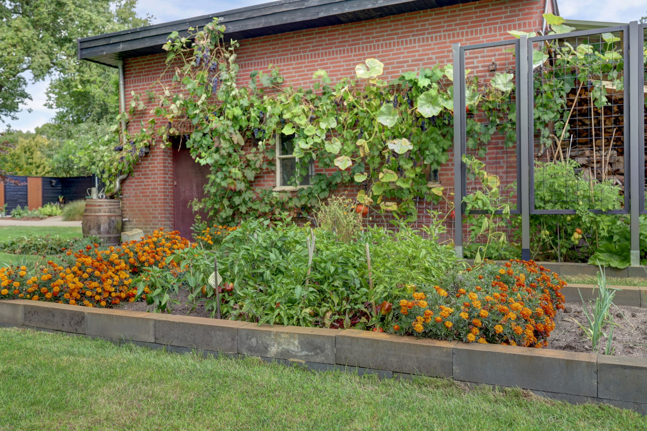 Foto 63 van van Ophovenlaan 61