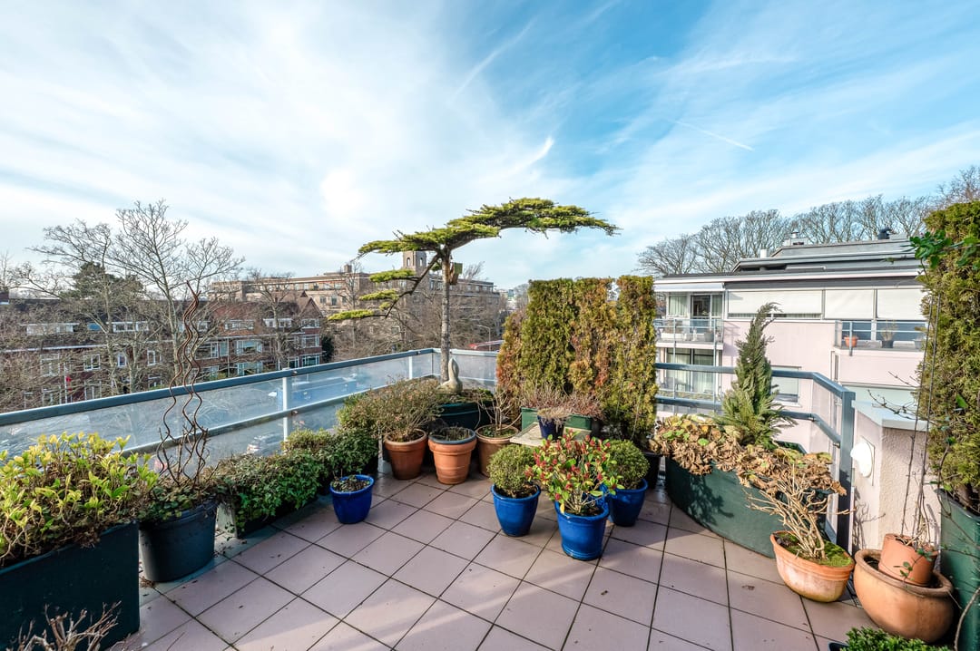 Foto 26 van Van Alkemadelaan 115