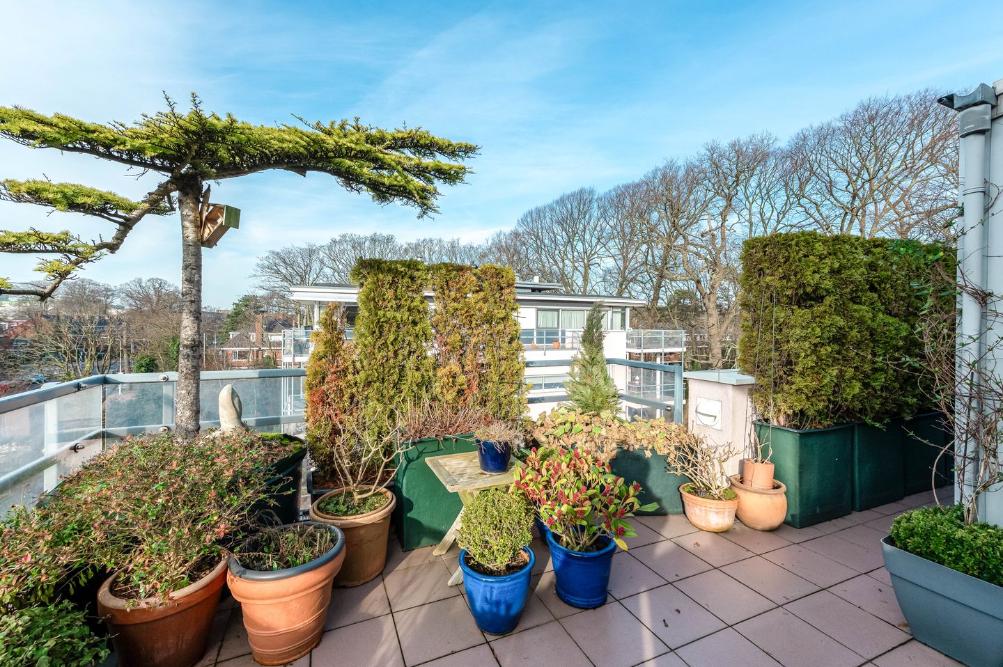 Foto 29 van Van Alkemadelaan 115