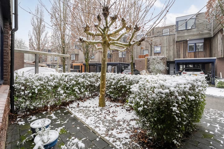 Photo 3 of Scriveriusmate 10