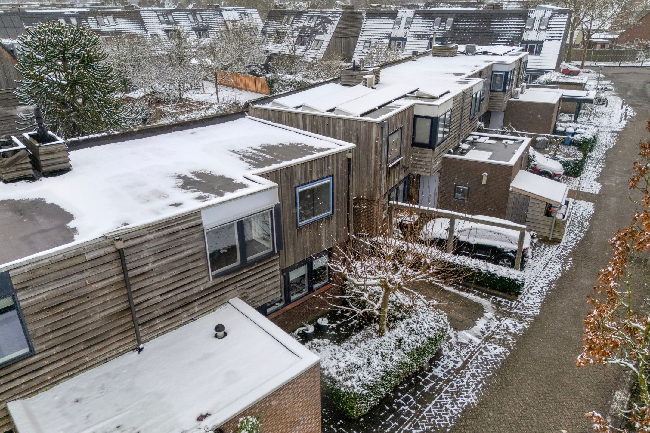 Foto 36 van Scriveriusmate 10