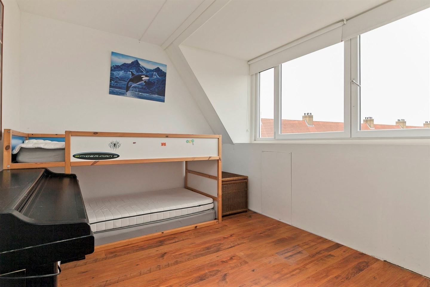 Foto 25 van Salamander 105