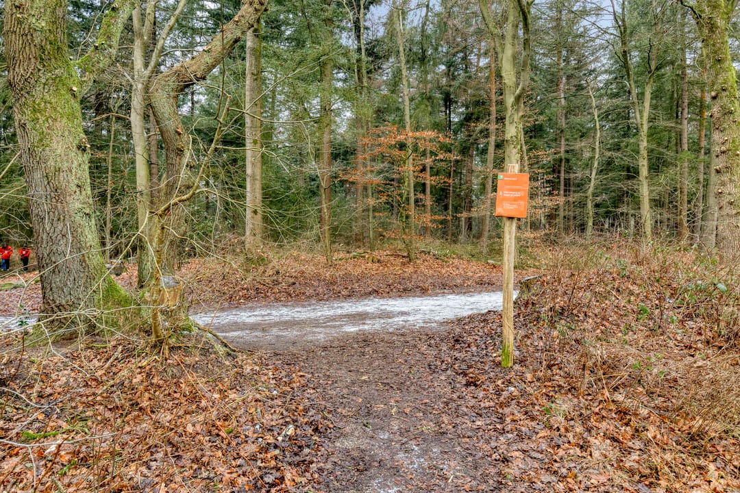 Foto 43 van Alle Boelensstraat 8