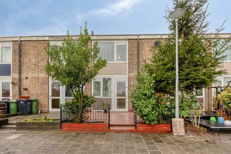 Desdemonastraat thumbnail