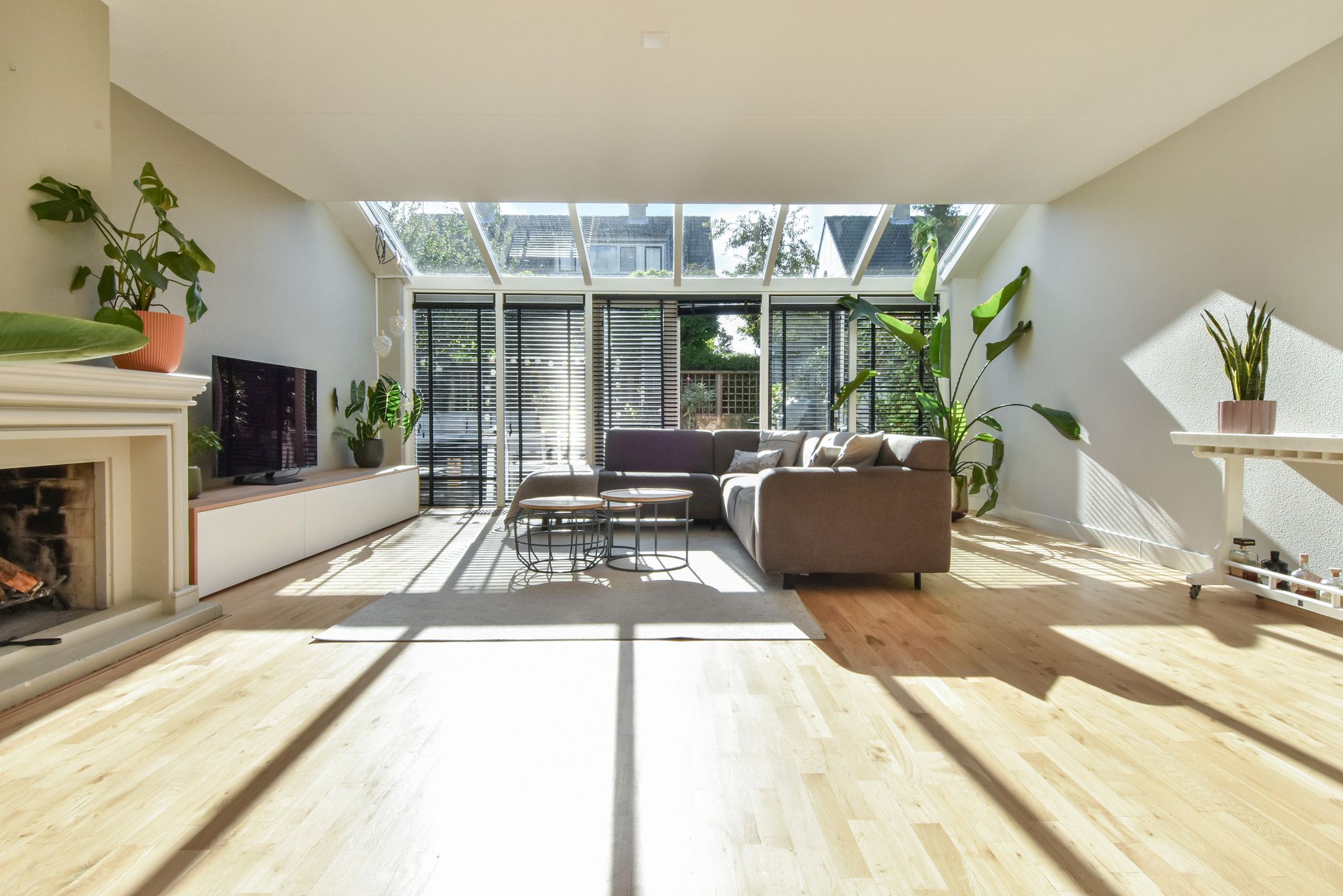 Photo 3 of Penningkruid 6