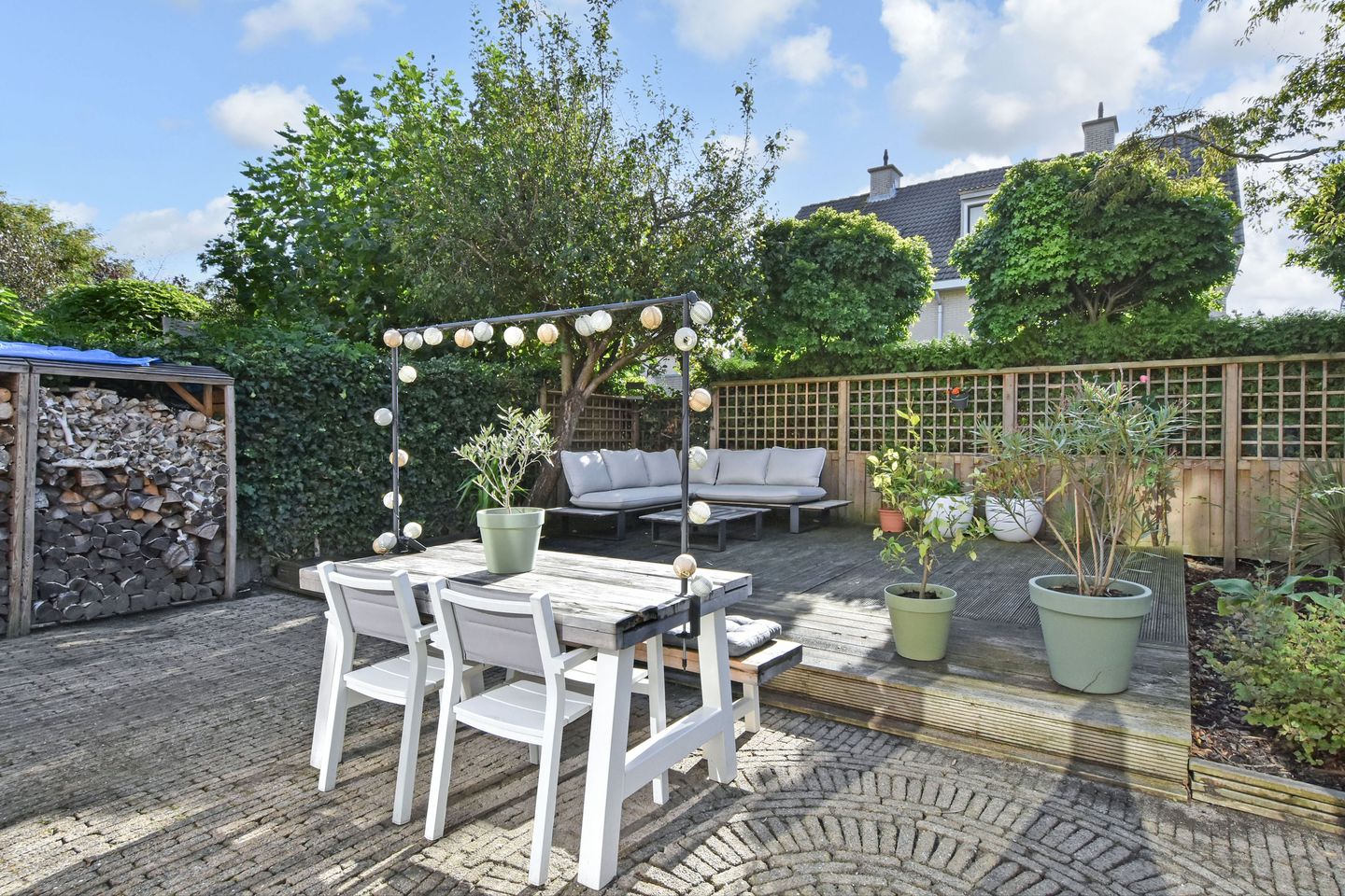 Photo 29 of Penningkruid 6