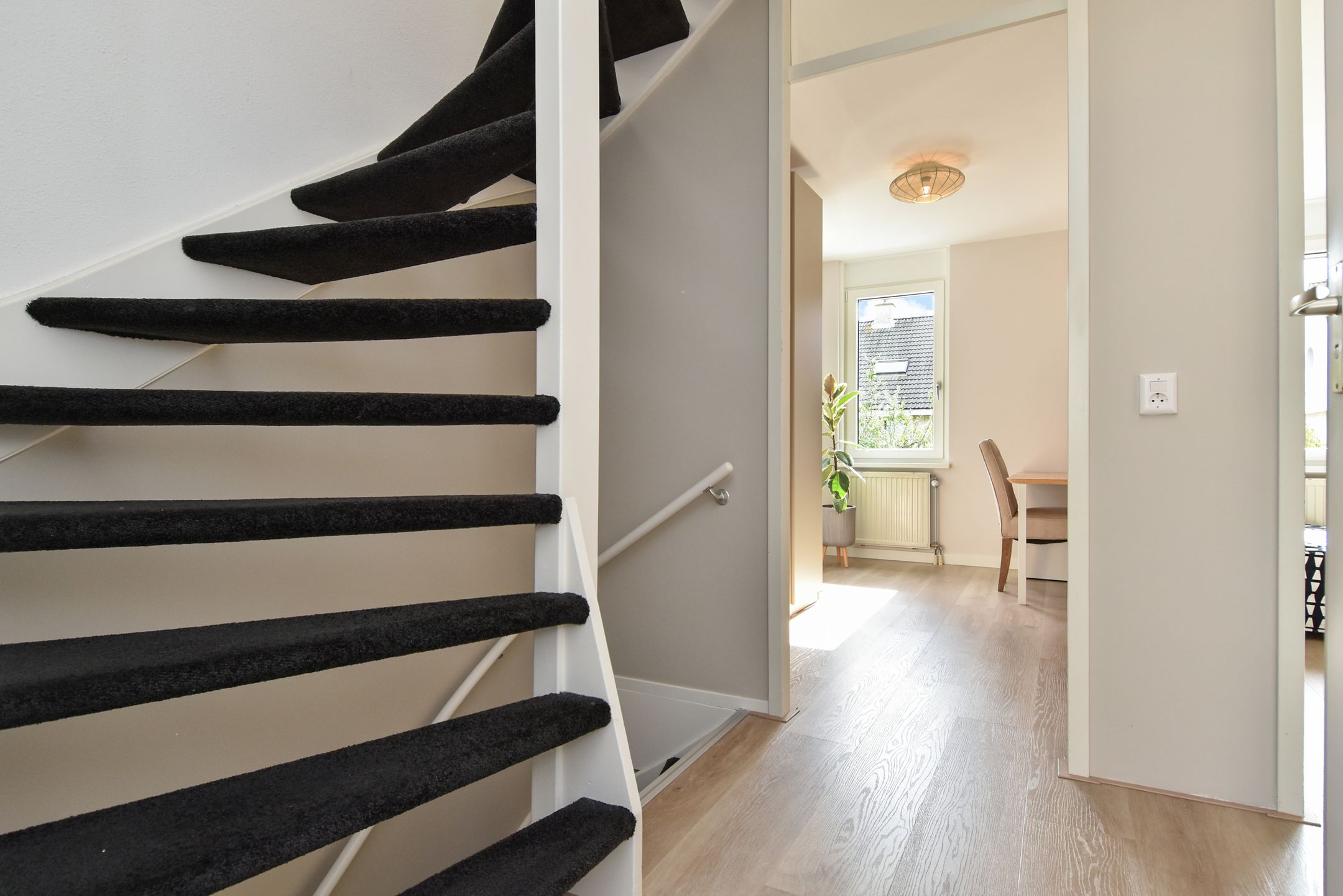 Photo 33 of Penningkruid 6