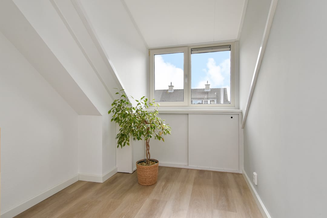 Photo 52 of Penningkruid 6