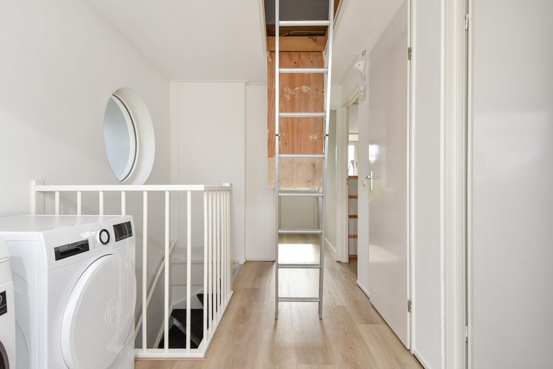 Photo 53 of Penningkruid 6