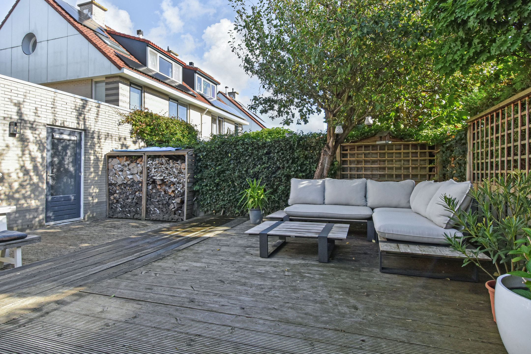 Photo 60 of Penningkruid 6