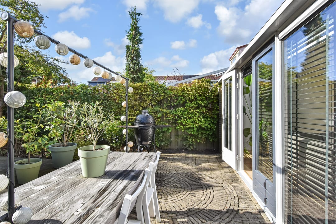 Photo 62 of Penningkruid 6