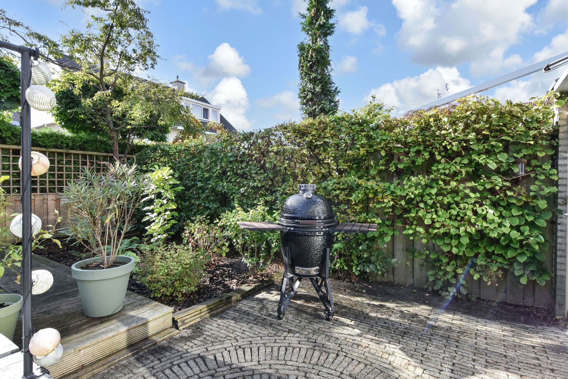 Photo 63 of Penningkruid 6