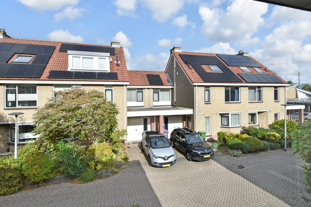 Photo 56 of Penningkruid 6