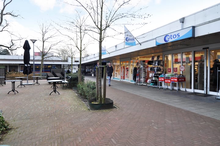 Photo 43 of Van Hogenhoucklaan 95-P