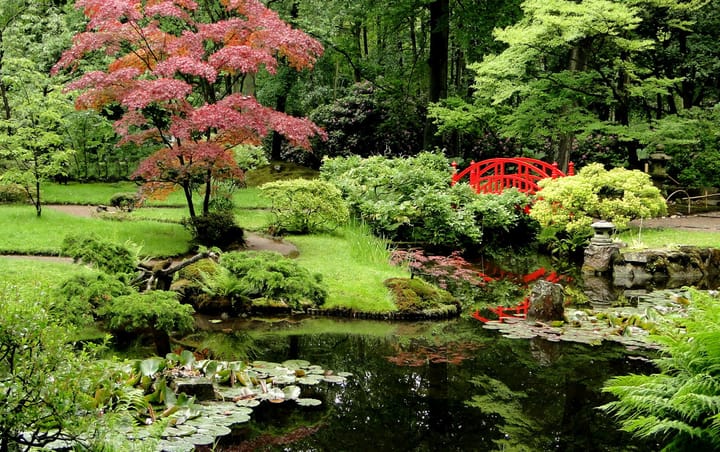 Photo 45 of Van Hogenhoucklaan 95-P