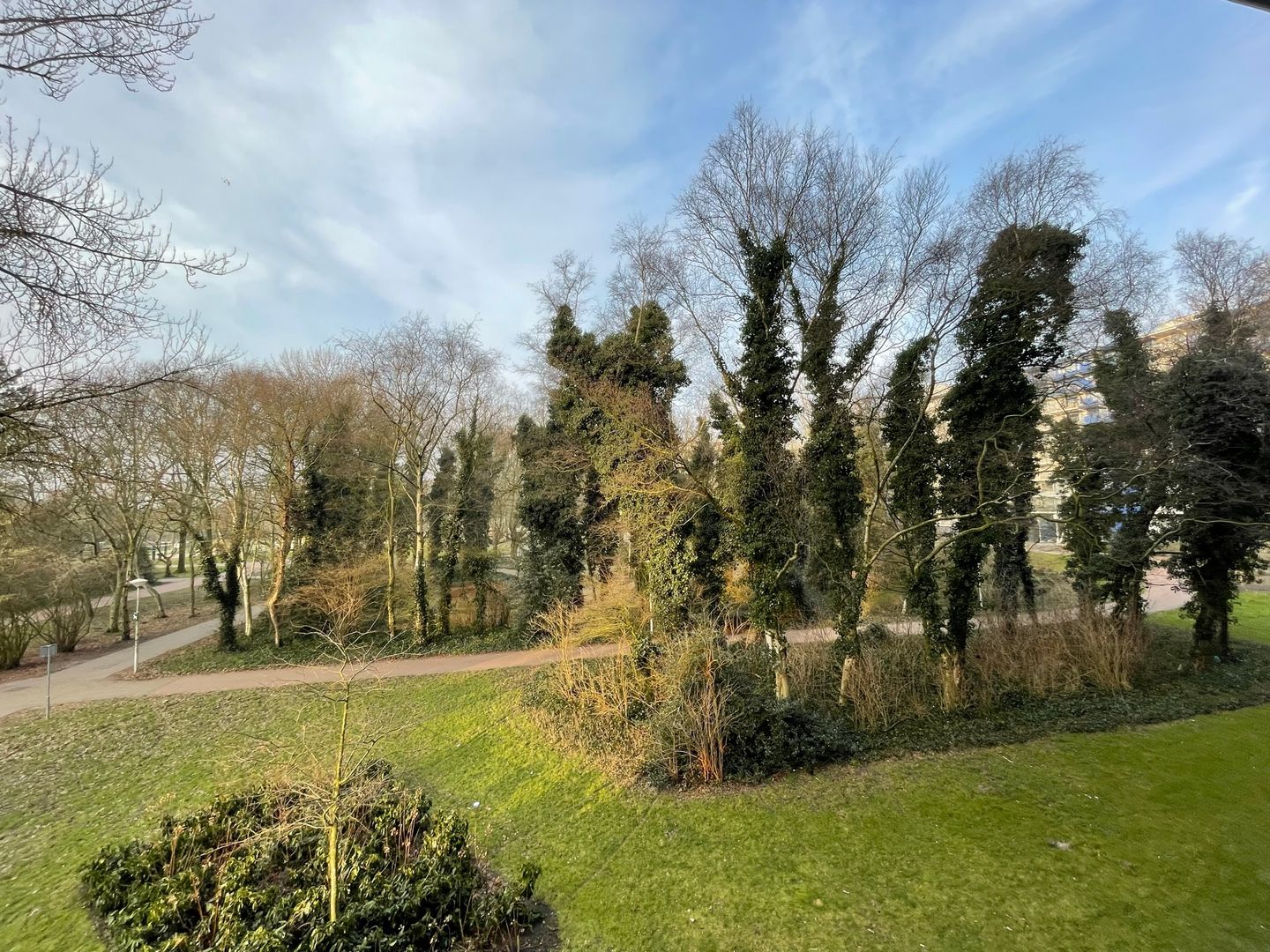 Foto 20 van Schipmolen 15