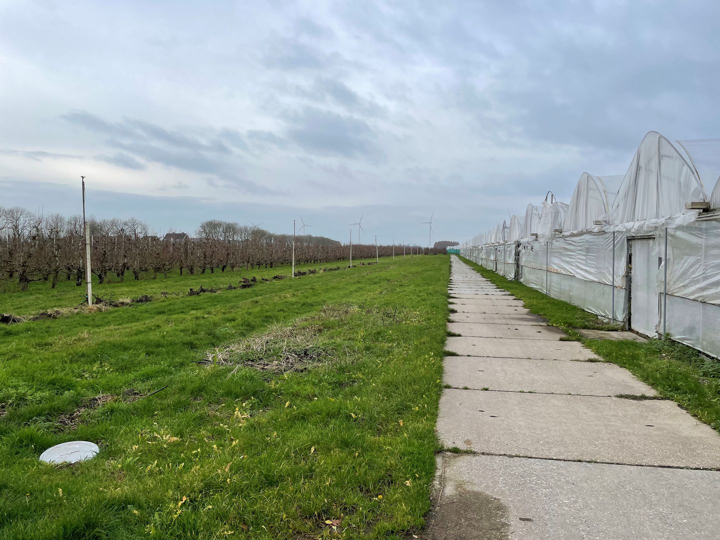 Bekijk foto 4 van Slimweistraat 5