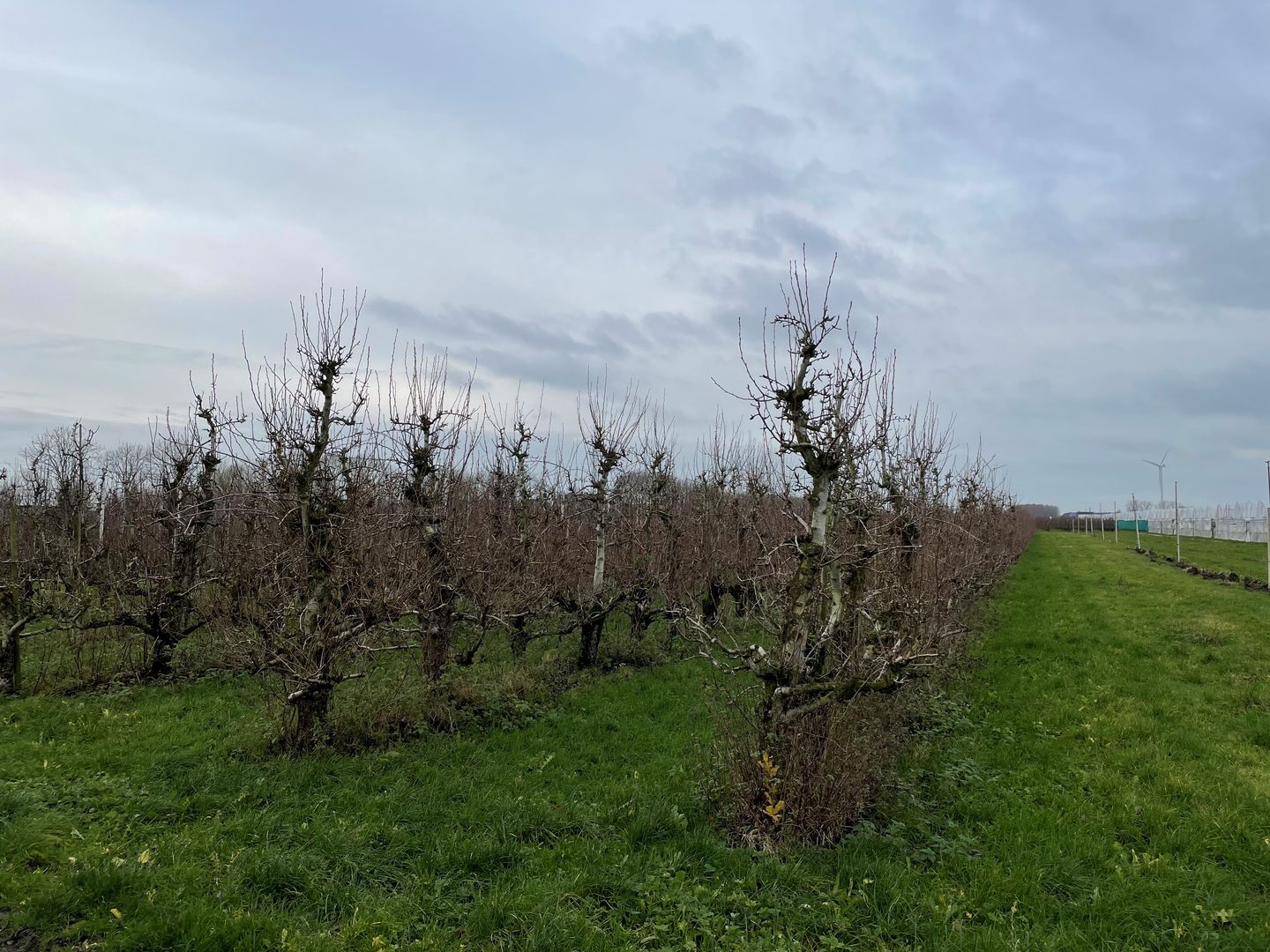 Bekijk foto 5 van Slimweistraat 5