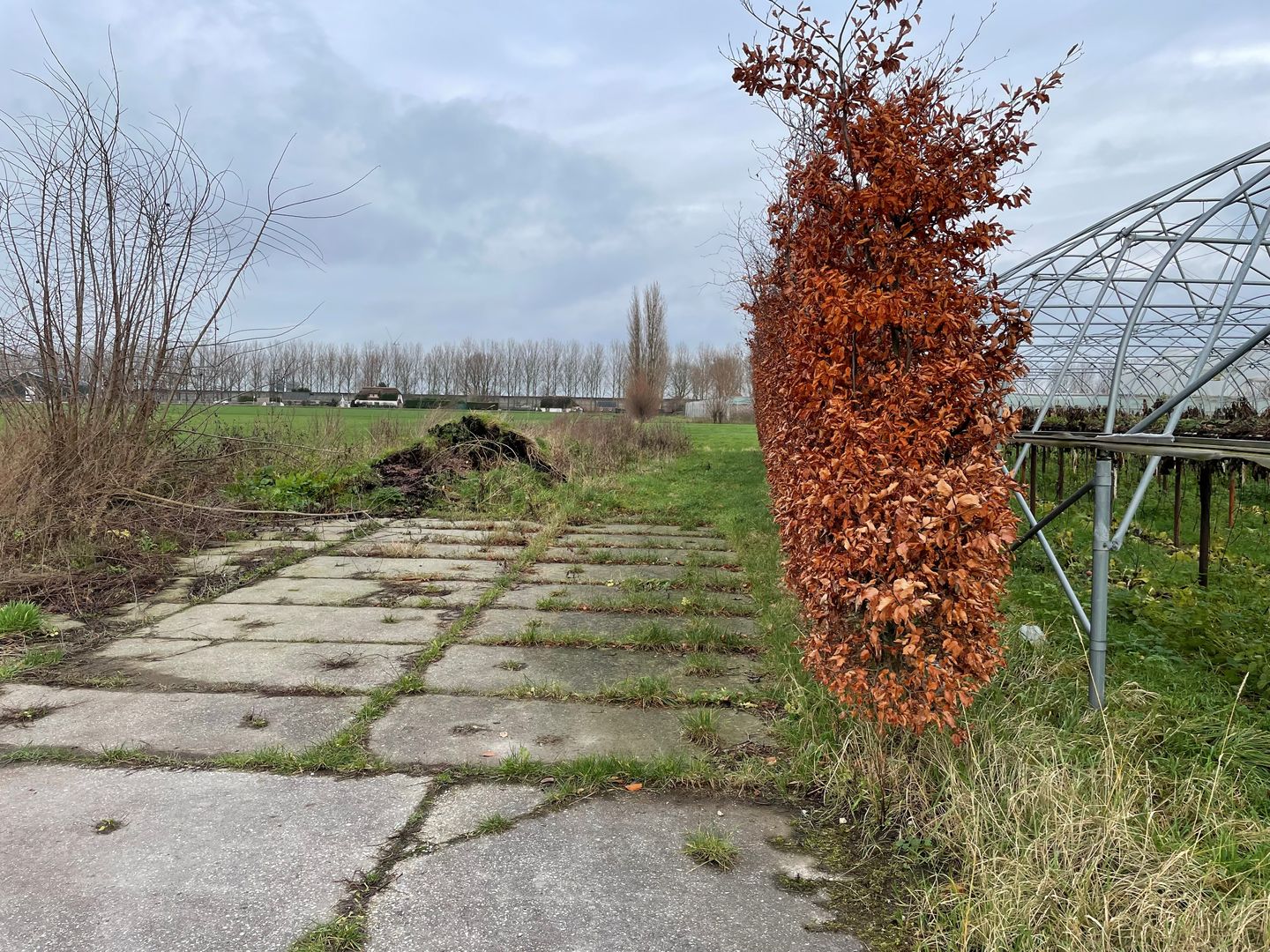Slimweistraat 5 - Waardenburg - Afbeelding 7