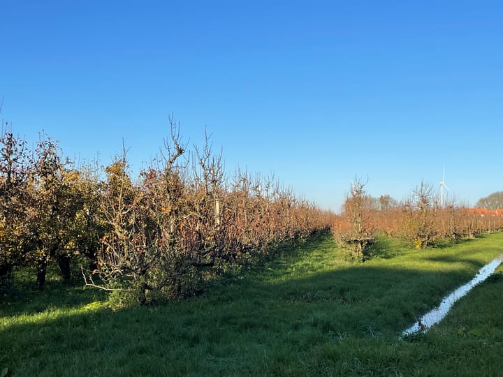 Slimweistraat 5, Waardenburg