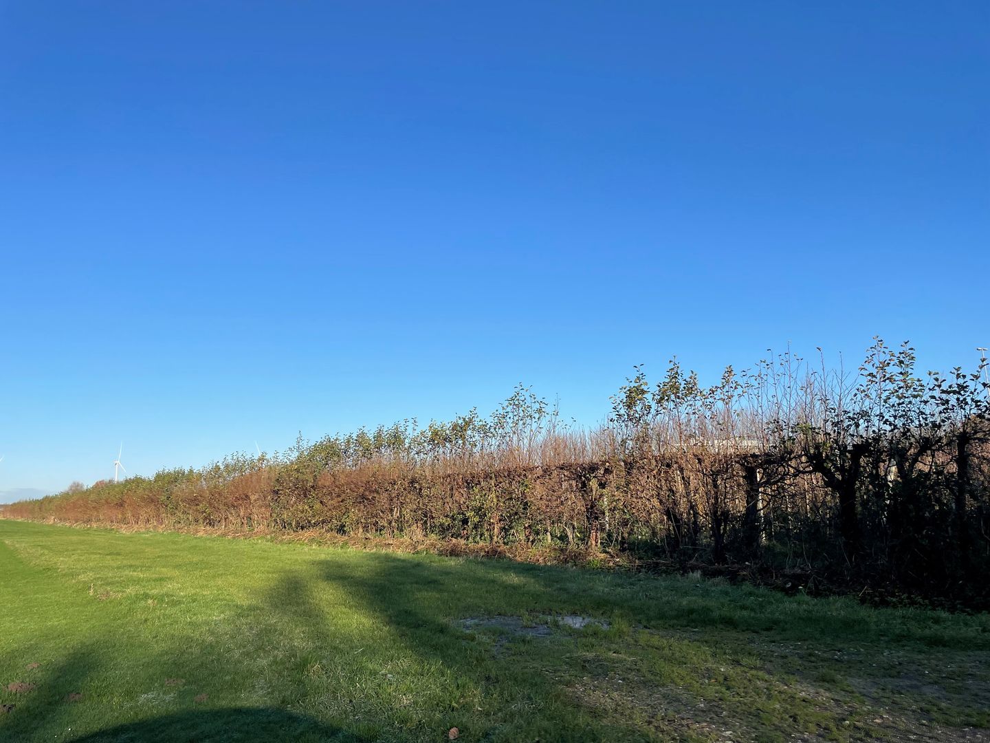 Bekijk foto 2 van Slimweistraat 5