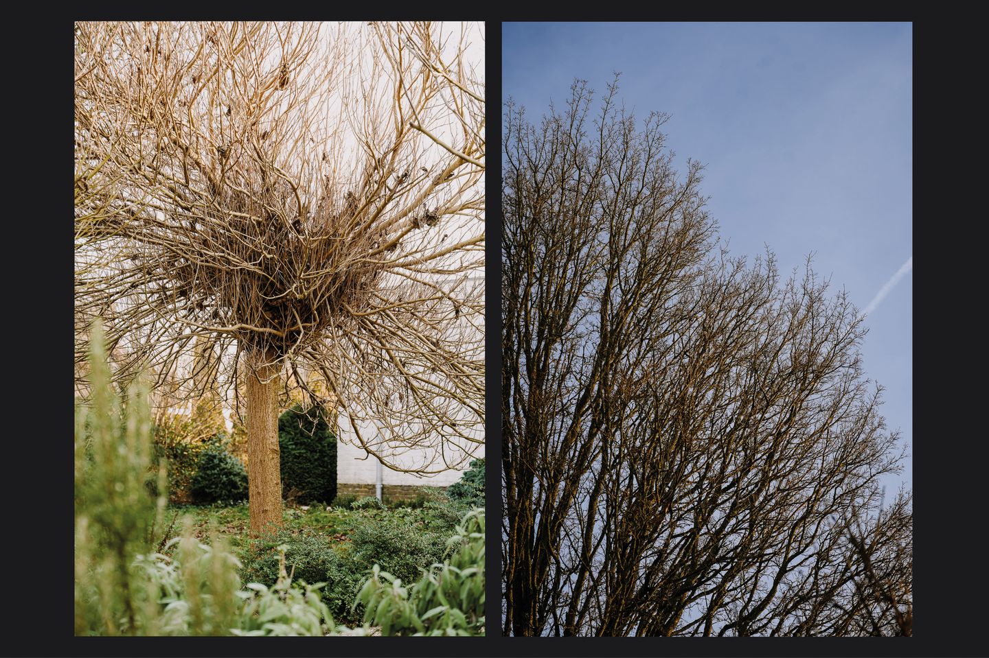 Foto 49 van Grachtstraat 31