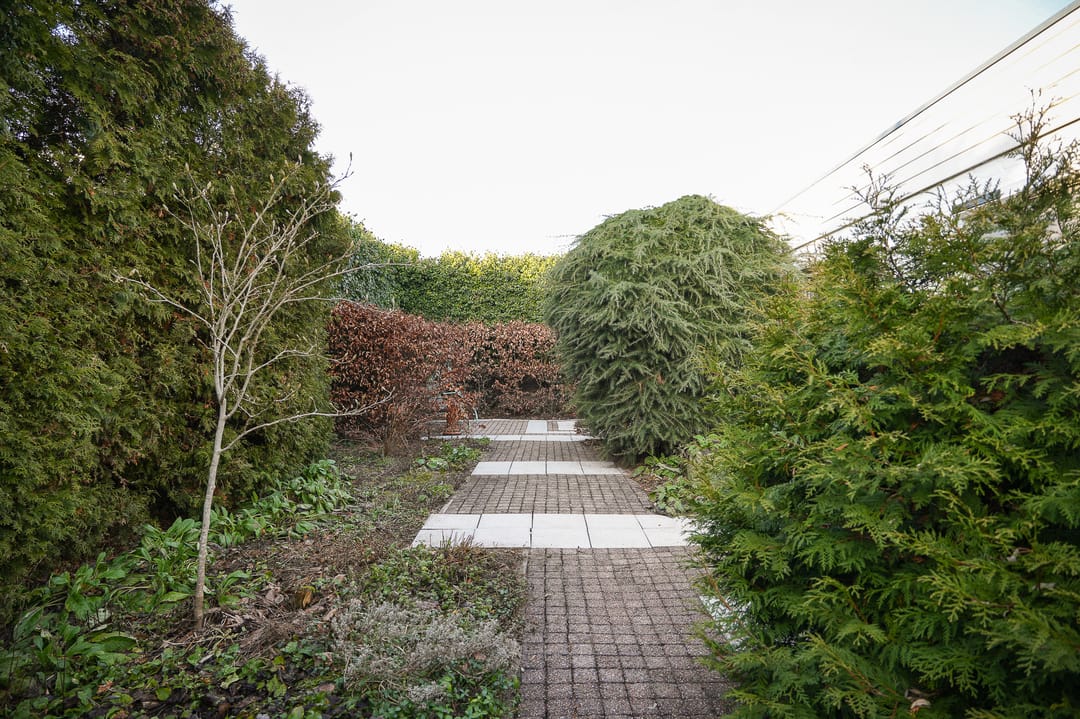 Foto 56 van Grachtstraat 31