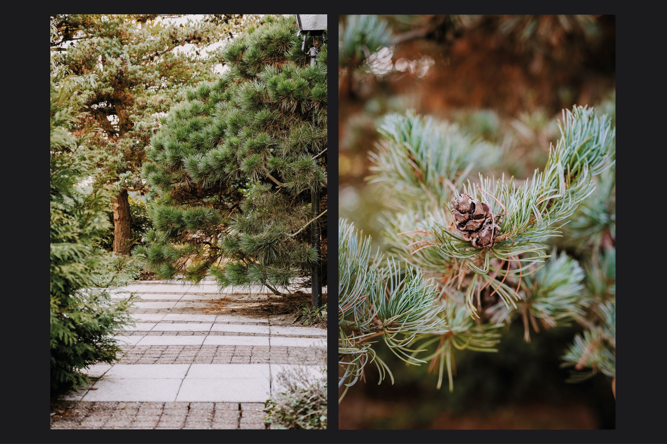 Foto 57 van Grachtstraat 31