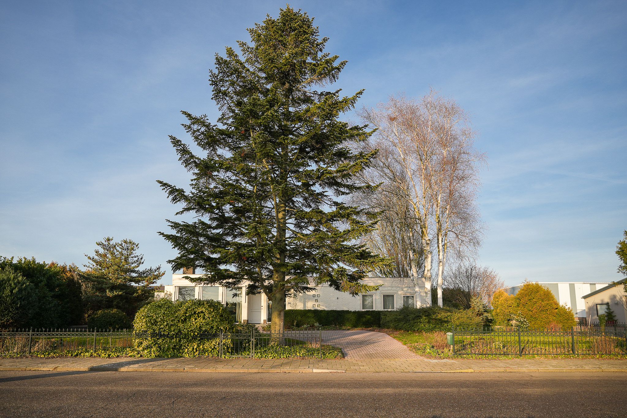 Foto 66 van Grachtstraat 31