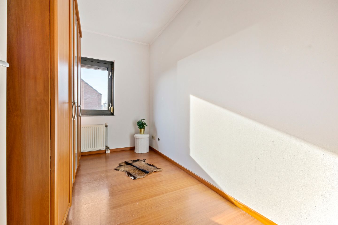 Photo 25 of Berenklauw 13