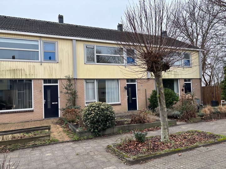 Foto 2 van Vlierstraat 17