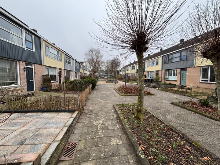 Foto 4 van Vlierstraat 17