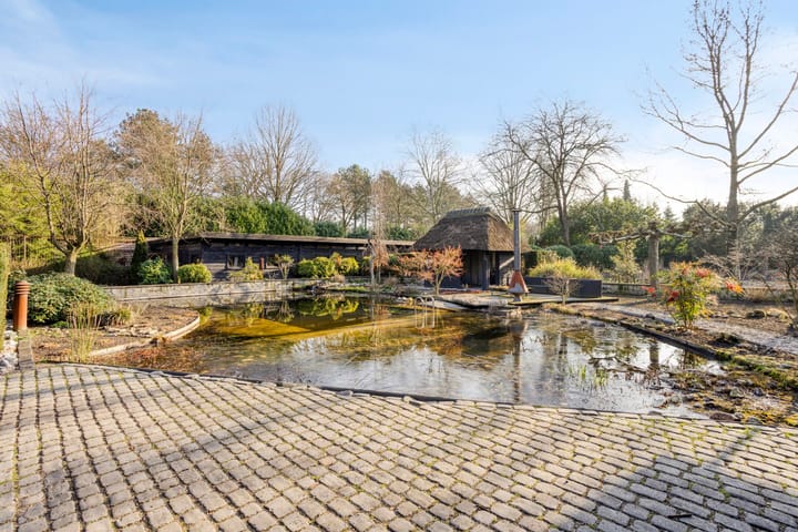 Foto 52 van Lijsterlaan 6