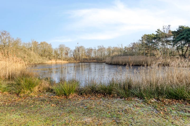 Foto 66 van Lijsterlaan 6