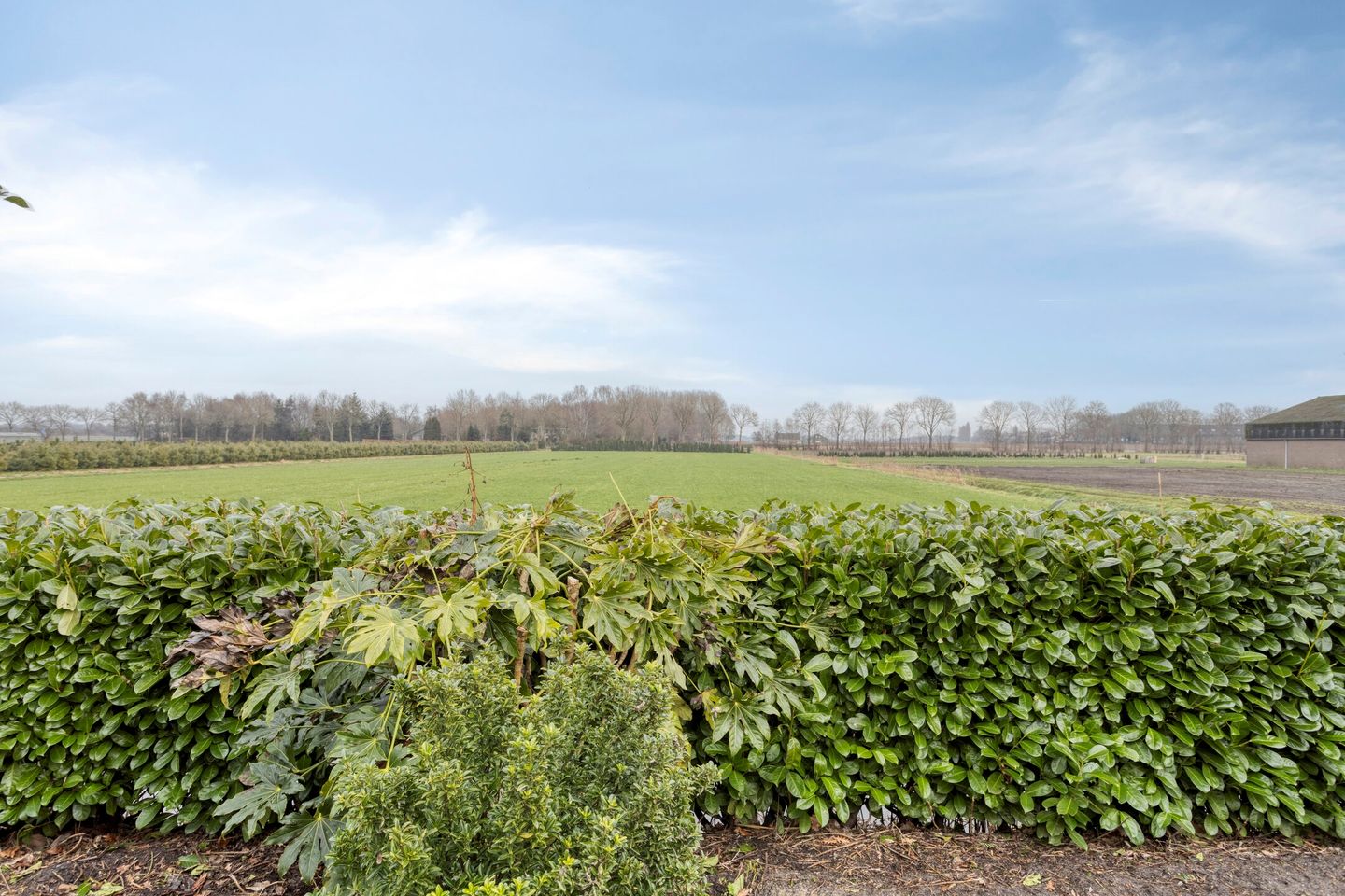 Foto 5 van Moerdijkseweg 2