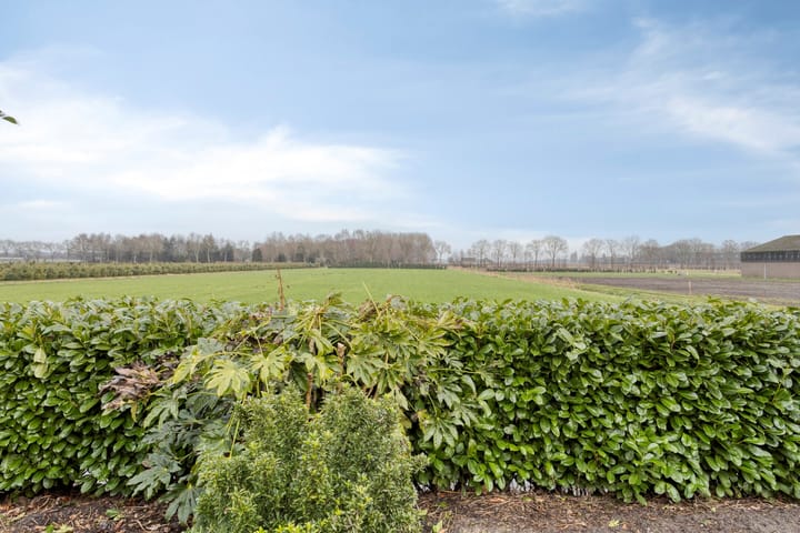 Foto 5 van Moerdijkseweg 2