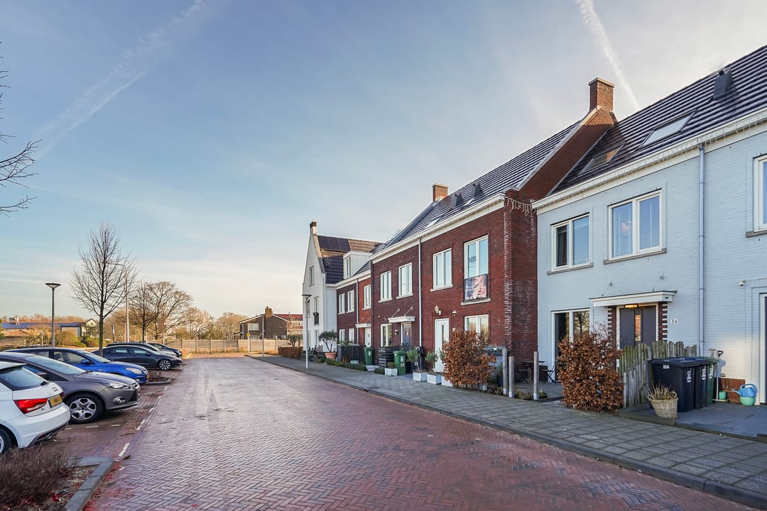 Foto 47 van De Druiventrap 36