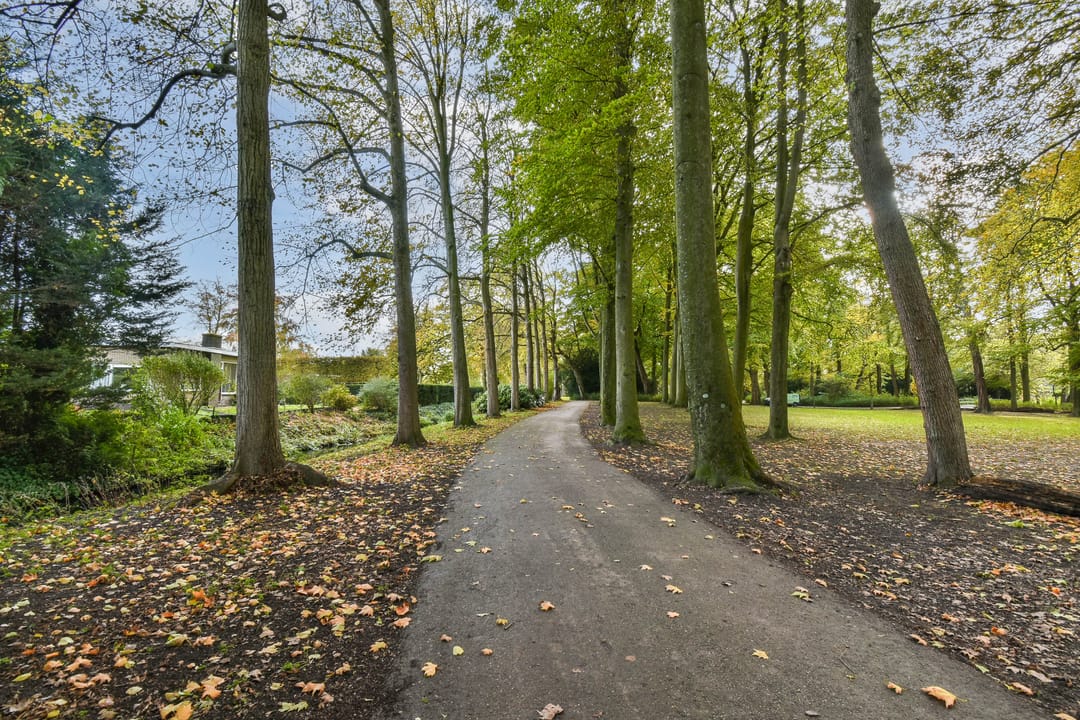 Foto 28 van Dubbelsteynlaan Oost 218