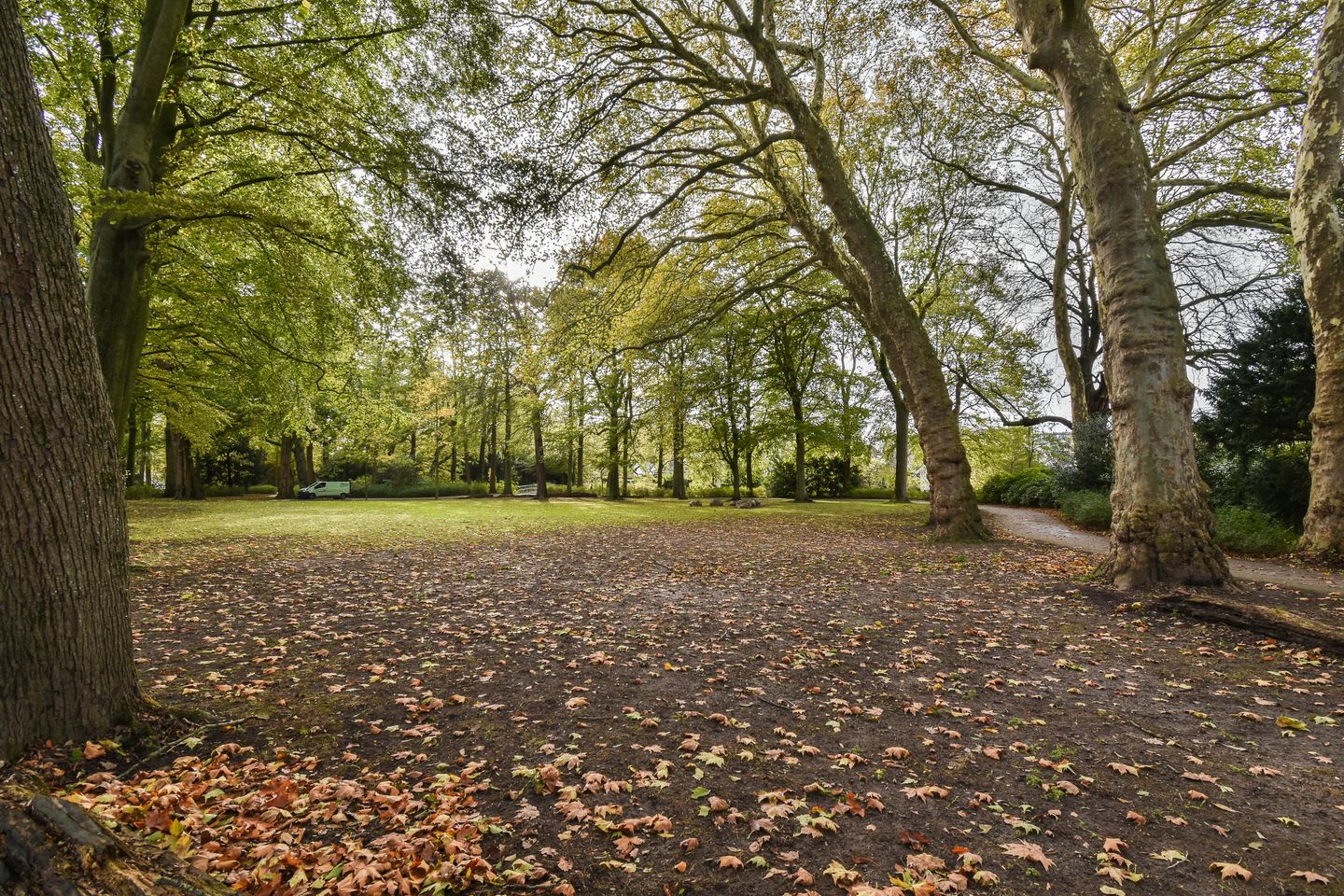 Foto 29 van Dubbelsteynlaan Oost 218