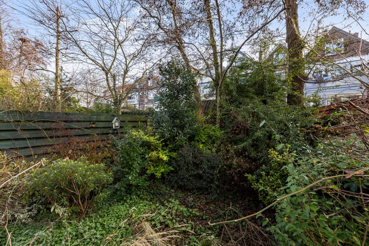 Photo 19 of Plassingel 6