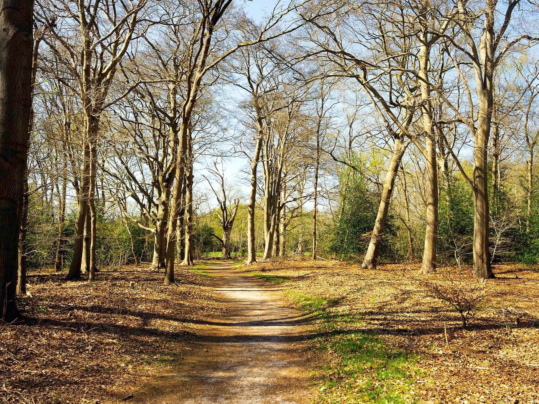 Foto 12 van Gelijkvloers met tuin (Bouwnr. 7)