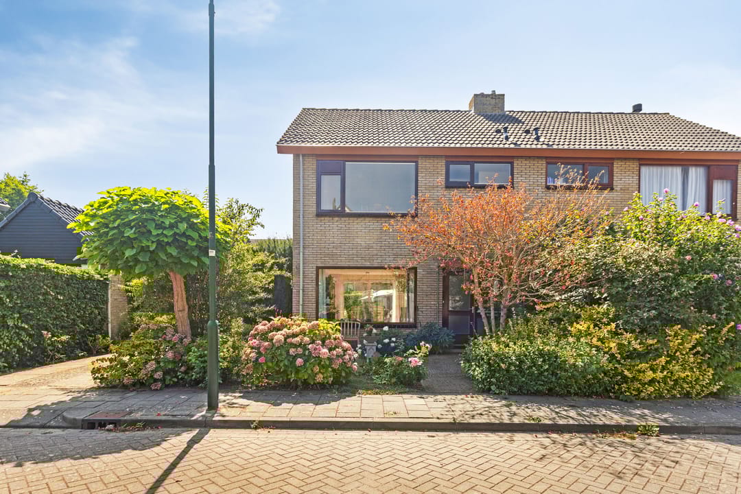 Foto 2 van Werckendetstraat 8