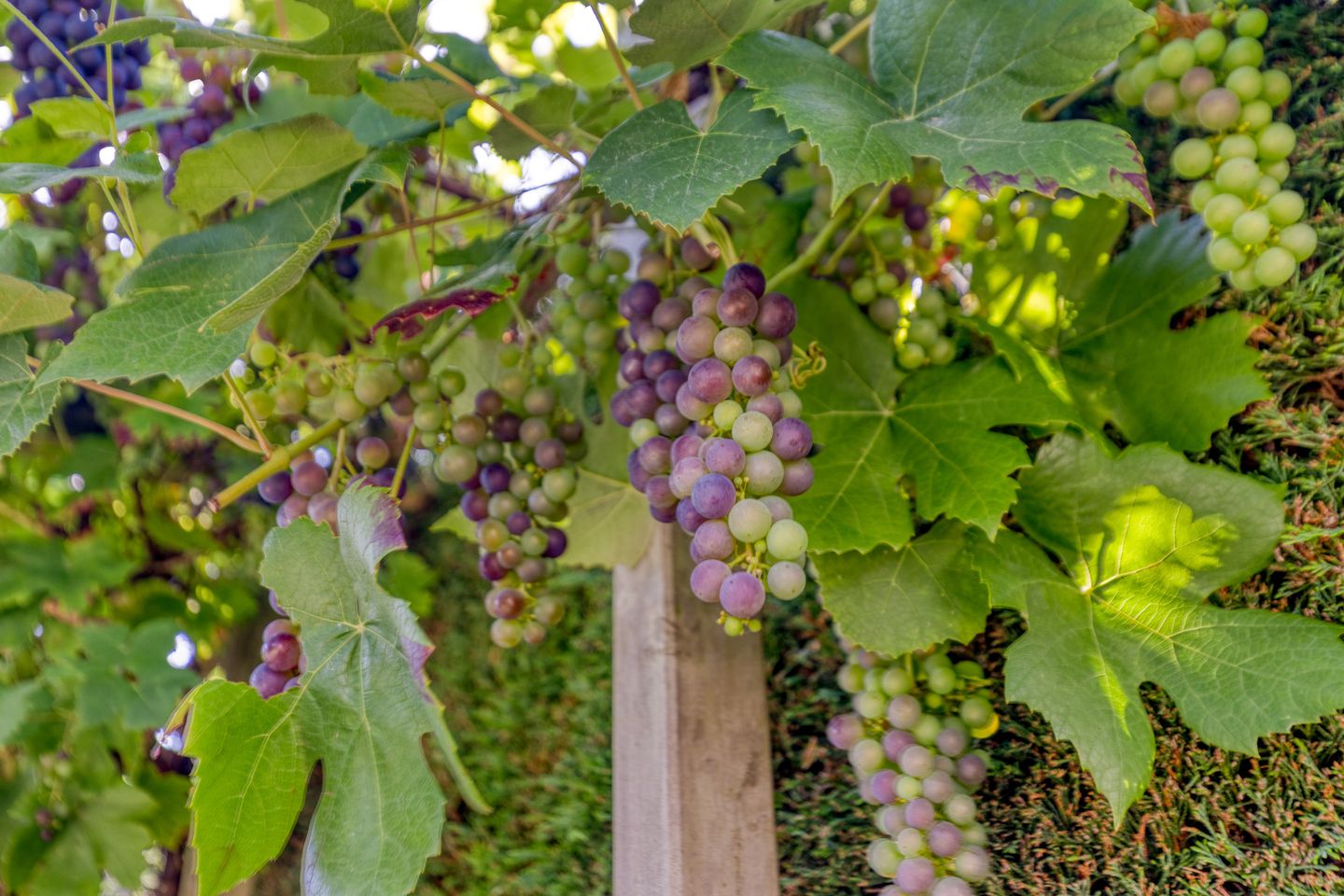 Foto 34 van Werckendetstraat 8