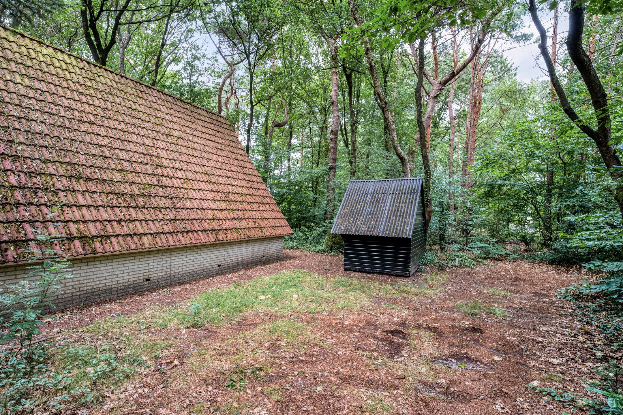 Photo 3 of Calluna Oost 45