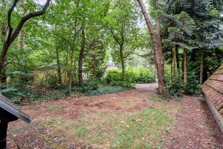 Photo 4 of Calluna Oost 45