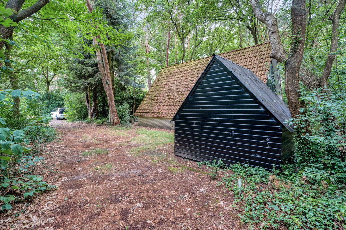 Photo 5 of Calluna Oost 45