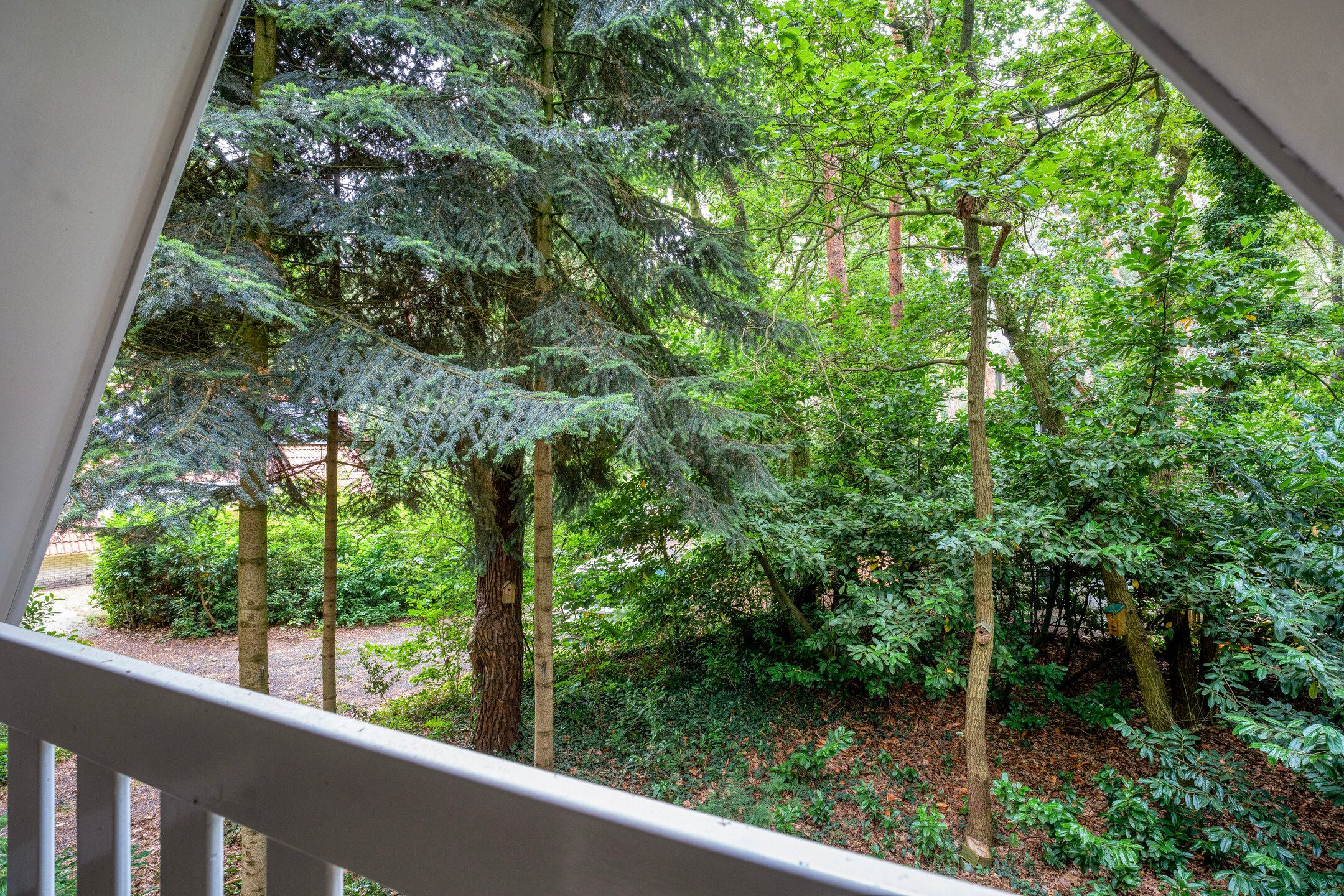 Photo 30 of Calluna Oost 45