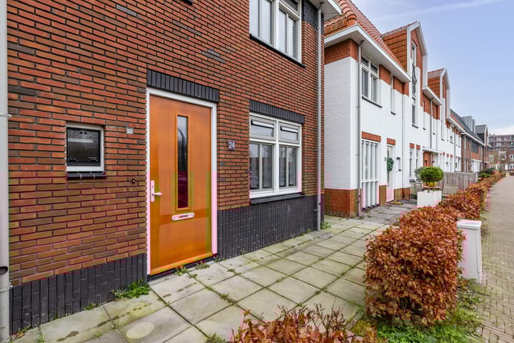 Photo 4 of Avondroodvlinder 24