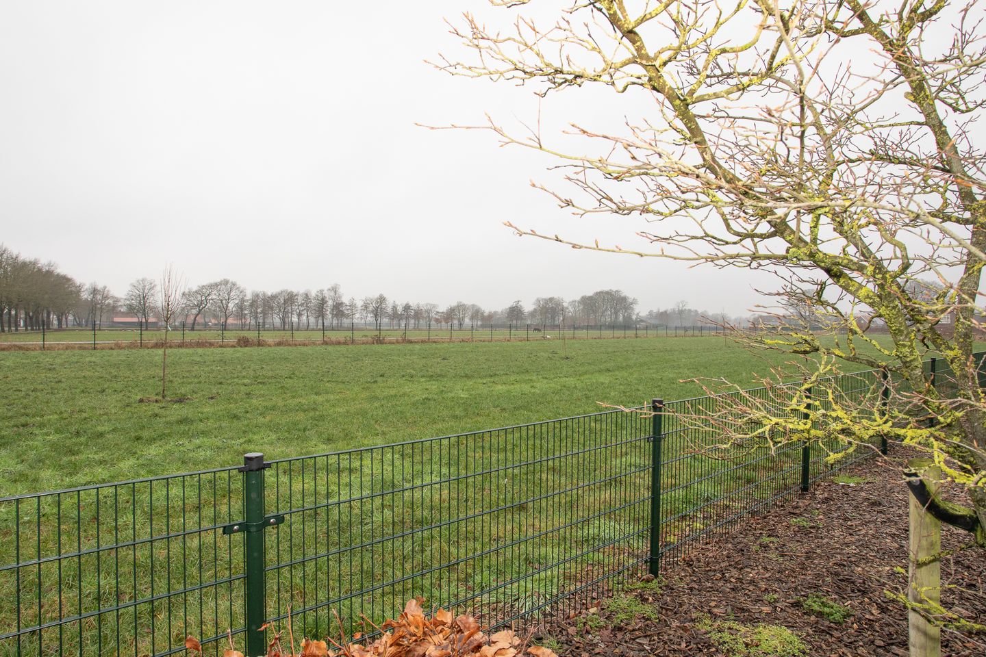 Foto 34 van Zekteweg 6-A